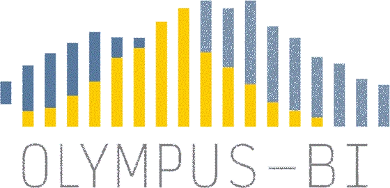 OLYMPUS BI SAS